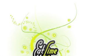 EatLime – envía archivos de hasta 1 GB de forma gratuita